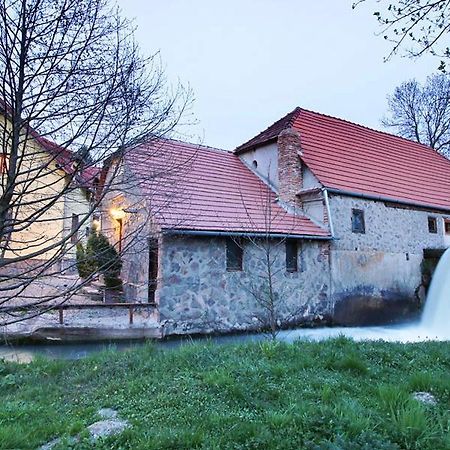 Moara De Piatra Hotell Carta  Eksteriør bilde