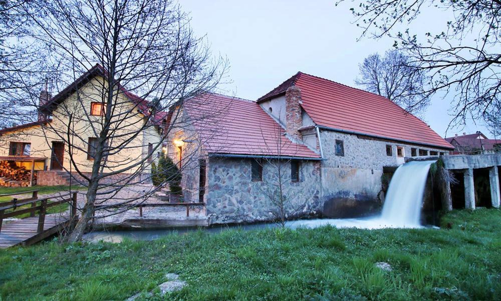 Moara De Piatra Hotell Carta  Eksteriør bilde