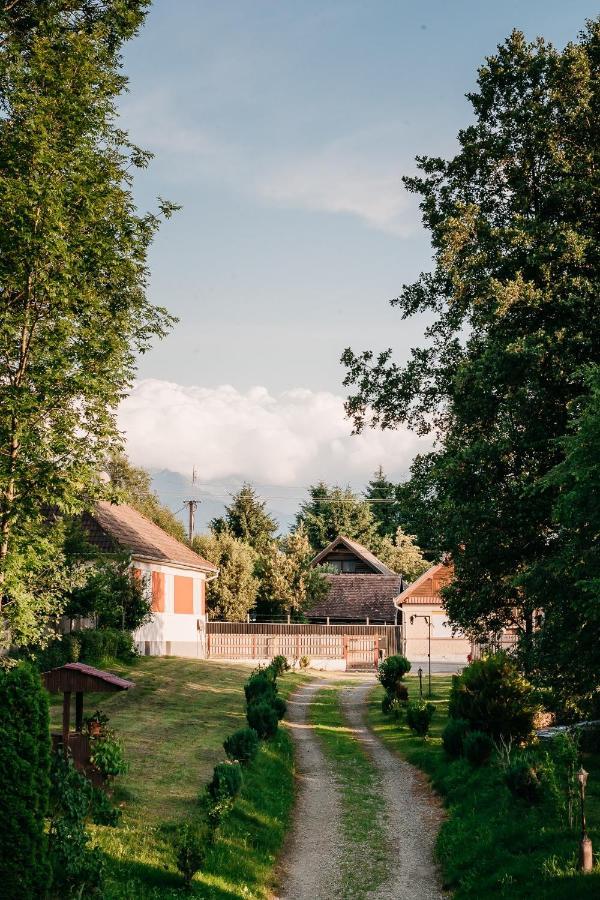 Moara De Piatra Hotell Carta  Eksteriør bilde