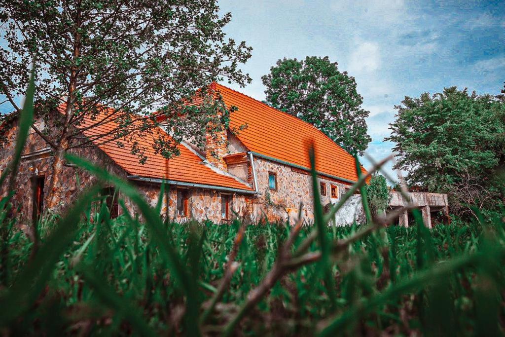 Moara De Piatra Hotell Carta  Eksteriør bilde