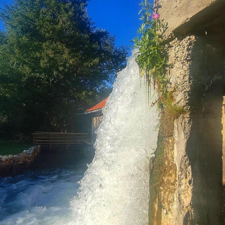 Moara De Piatra Hotell Carta  Eksteriør bilde